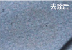 中国·ok138cn太阳集团(股份)有限公司-官方网站